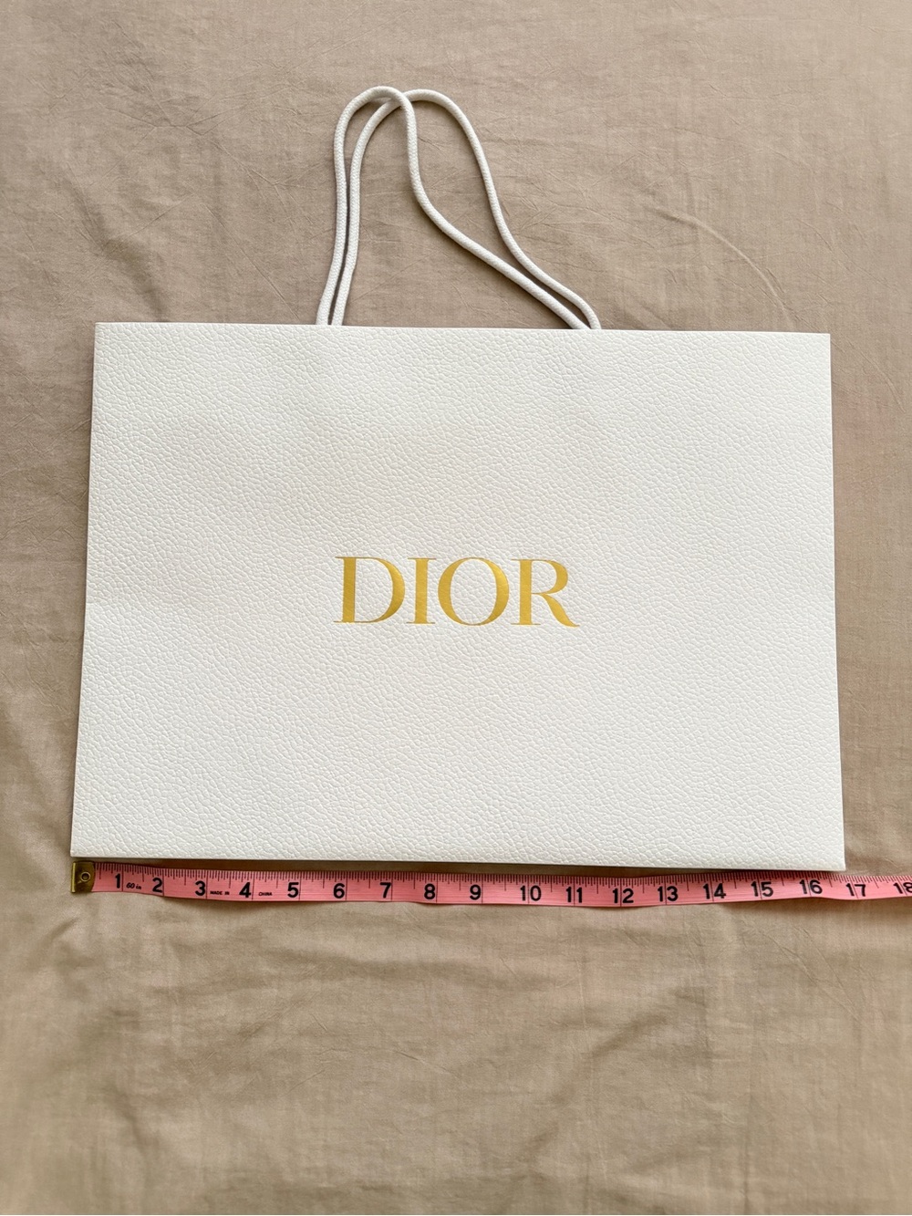 Auth Dior Shopping Bag - Large
